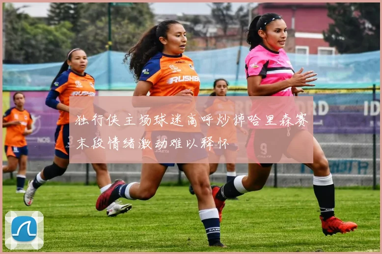 独行侠主场球迷高呼炒掉哈里森赛末段情绪激动难以释怀
